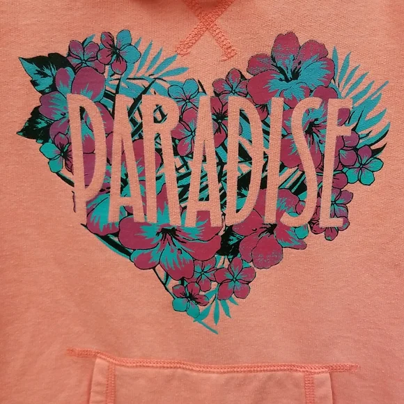 American Eagle Outfitters hoodie coral sz S - Picture 2 of 8